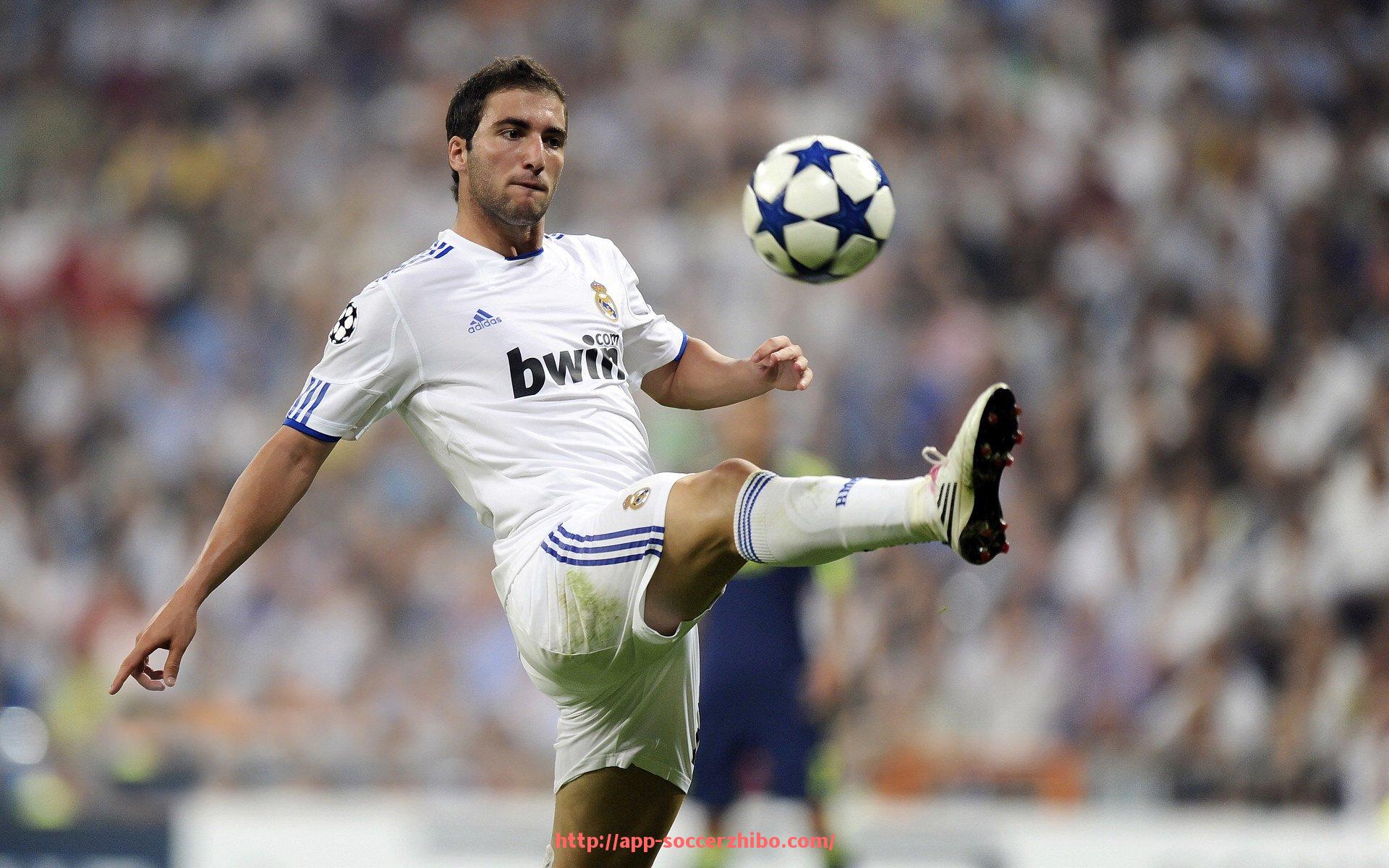 足球直播-德甲球队球员名单大盘点，2025赛季全阵容一览无遗